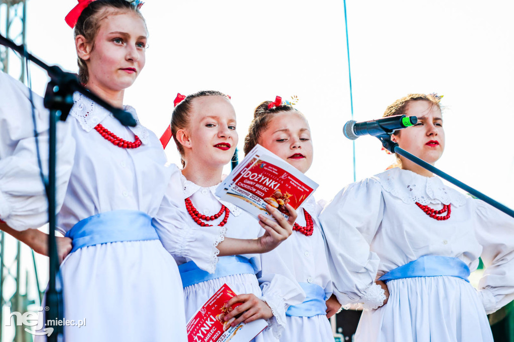 Dożynki gminy Mielec w Chorzelowie