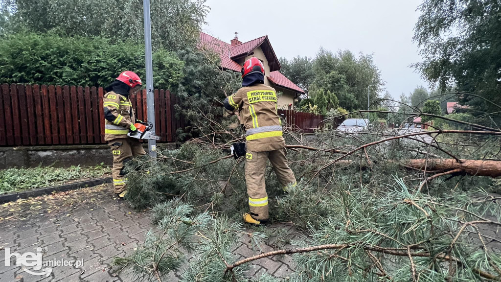 Nawałnica nad powiatem mieleckim