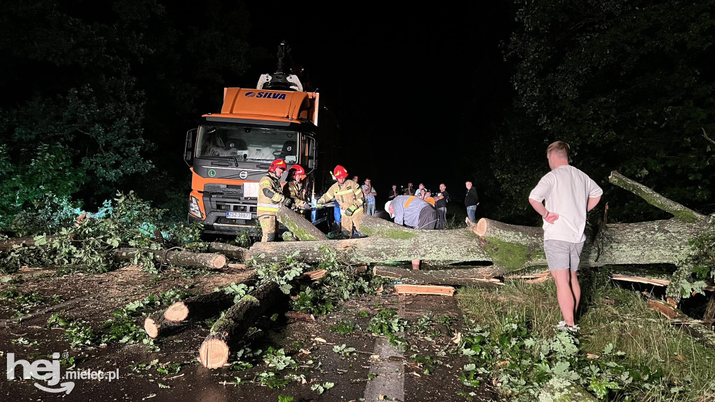 Powalone drzewo zablokowało trasę Mielec - Kolbuszowa