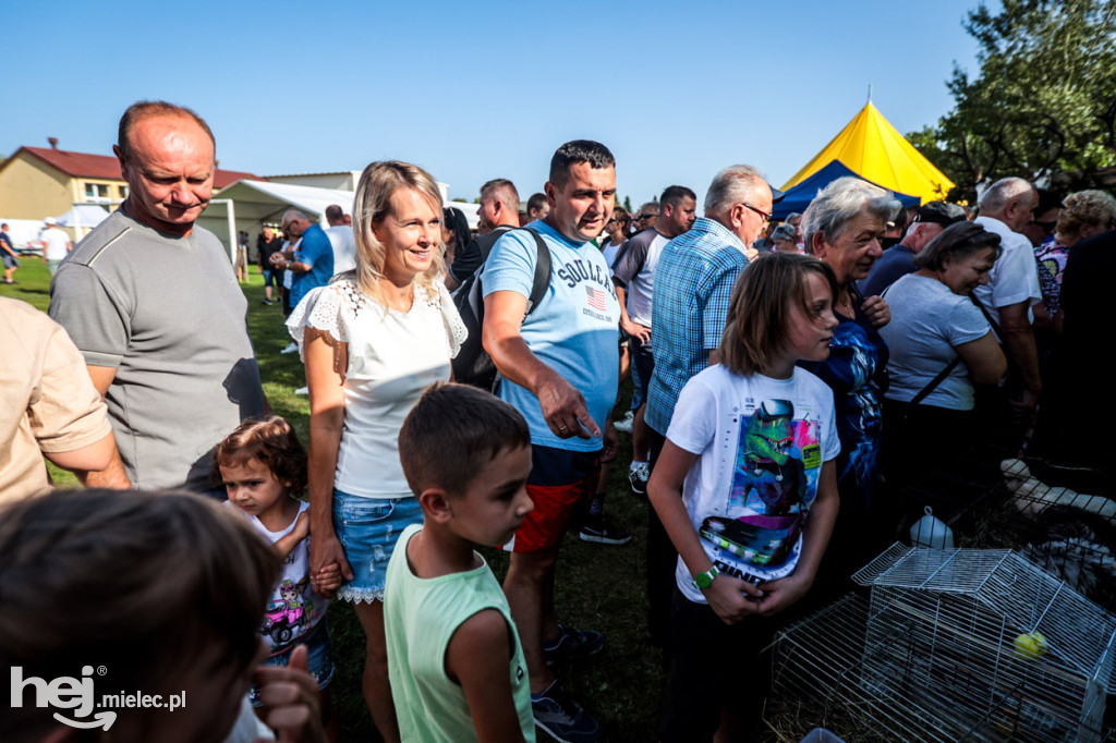 XI Gminne Święto Ziemniaka w Padwi Narodowej