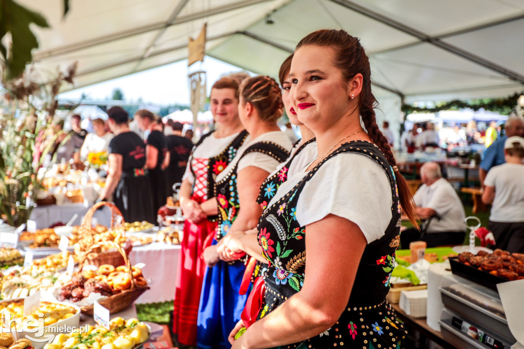 XI Gminne Święto Ziemniaka w Padwi Narodowej