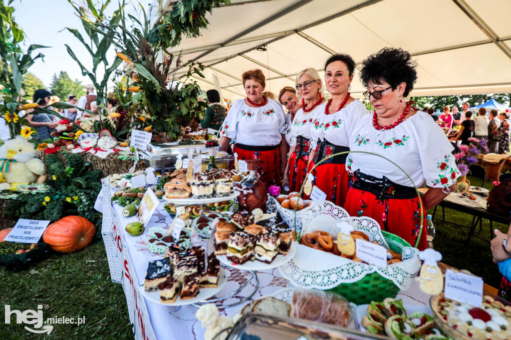 XI Gminne Święto Ziemniaka w Padwi Narodowej