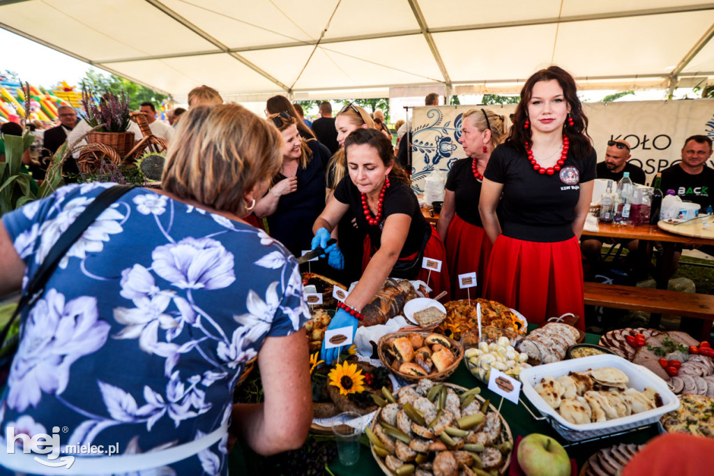 XI Gminne Święto Ziemniaka w Padwi Narodowej