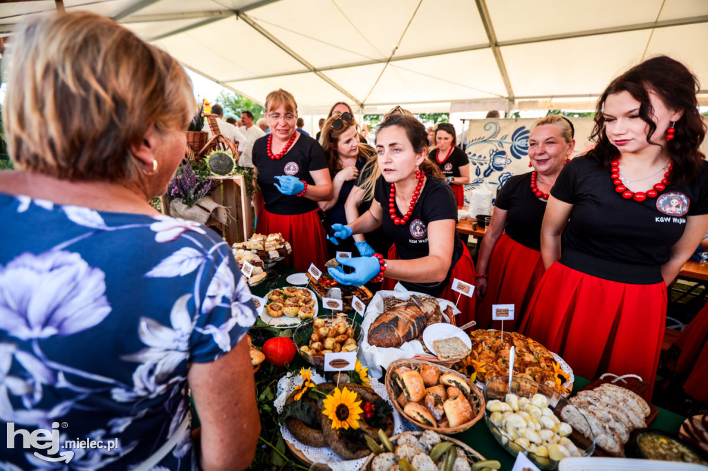 XI Gminne Święto Ziemniaka w Padwi Narodowej