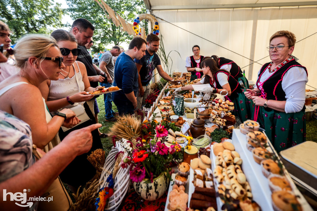 XI Gminne Święto Ziemniaka w Padwi Narodowej