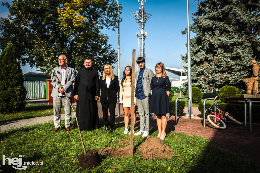 Sadzonki jabłoni na pamiątkę bł. Rodziny Ulmów