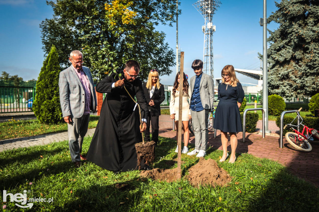 Sadzonki jabłoni na pamiątkę bł. Rodziny Ulmów