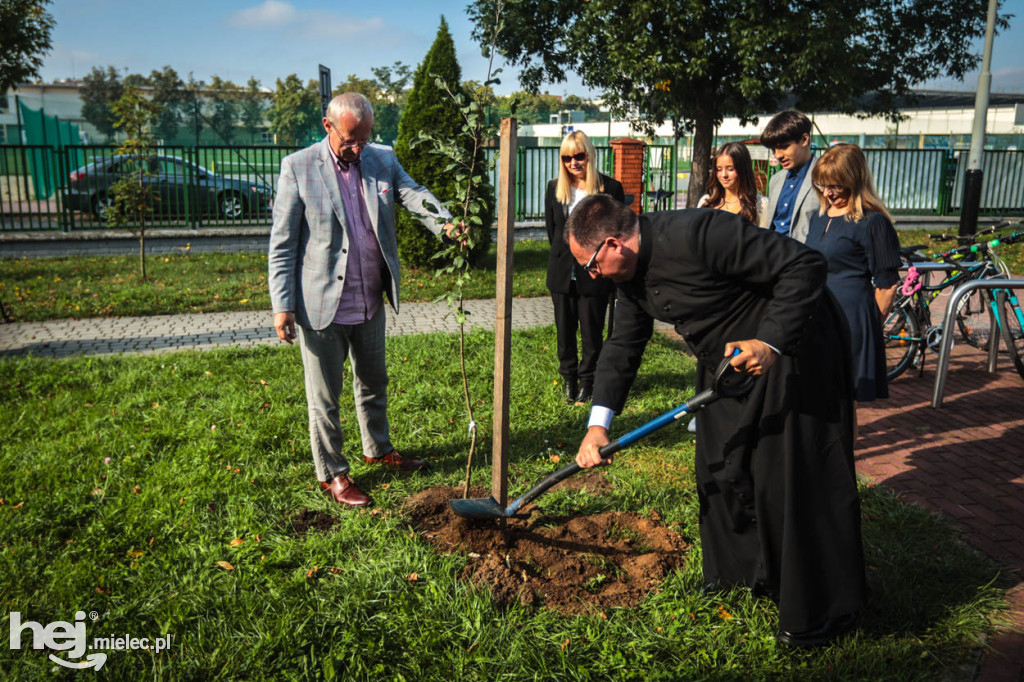 Sadzonki jabłoni na pamiątkę bł. Rodziny Ulmów