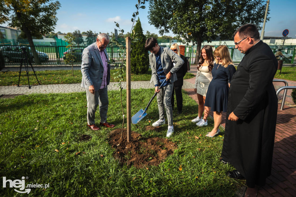 Sadzonki jabłoni na pamiątkę bł. Rodziny Ulmów