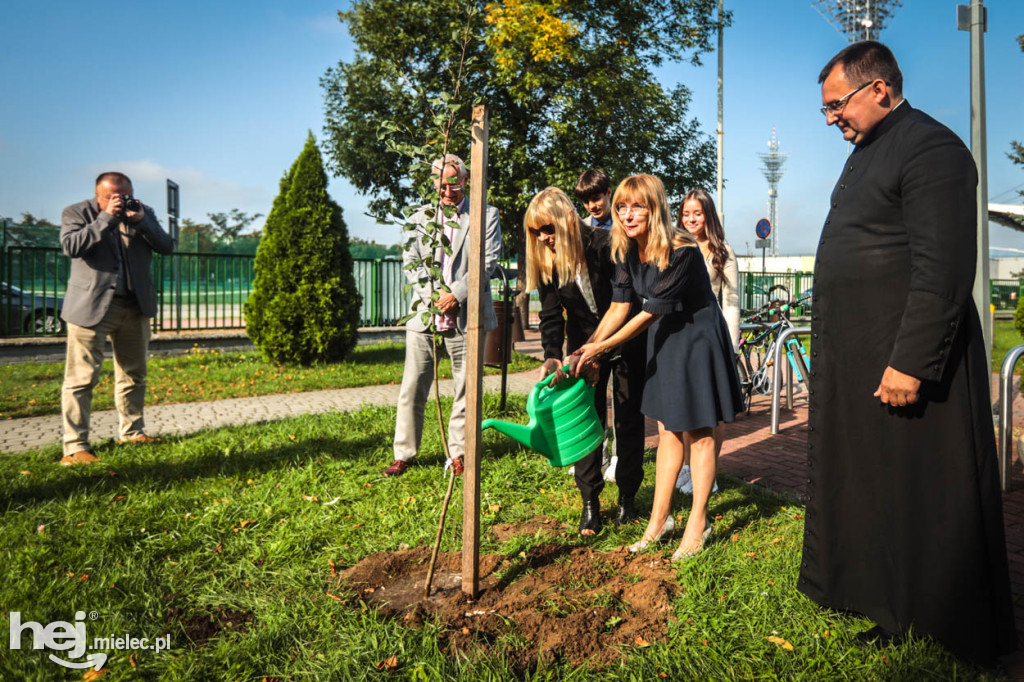 Sadzonki jabłoni na pamiątkę bł. Rodziny Ulmów