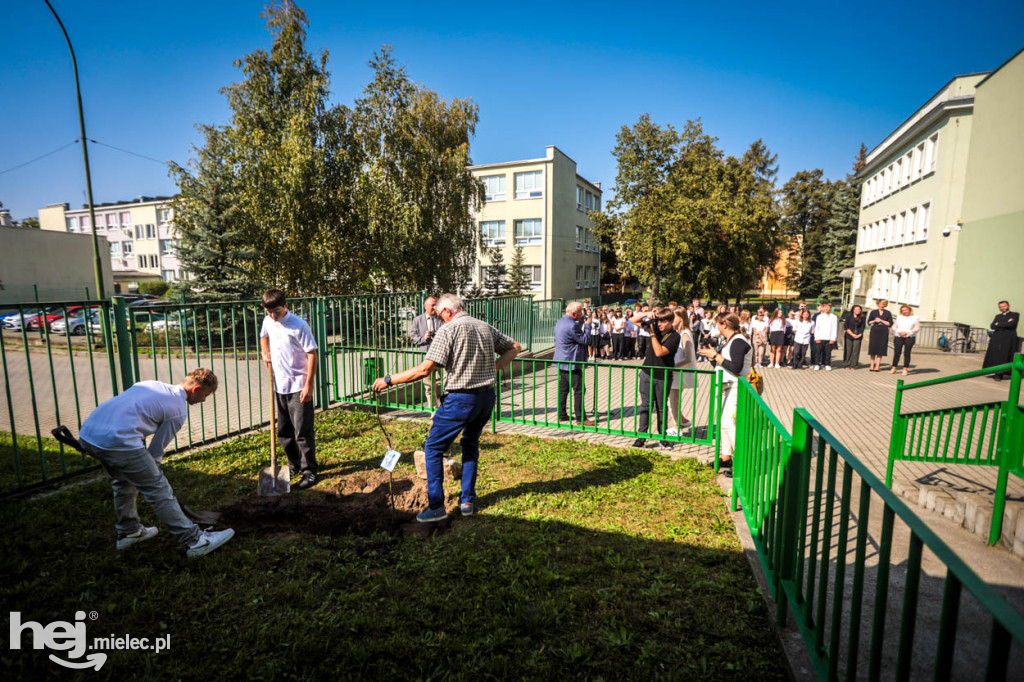 Sadzonki jabłoni na pamiątkę bł. Rodziny Ulmów