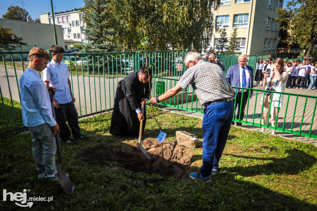 Sadzonki jabłoni na pamiątkę bł. Rodziny Ulmów