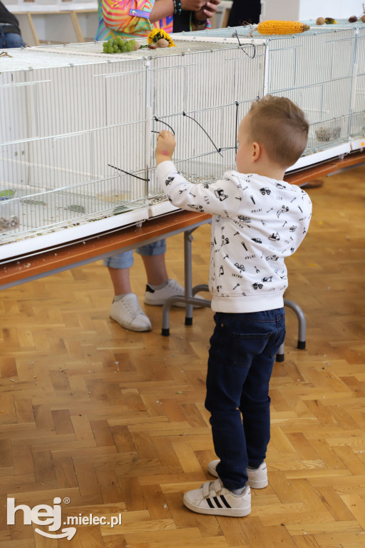 XXVI Mistrzostwa Mieleckiego Stowarzyszenia Hodowców Kanarków i Ptaków Egzotycznych