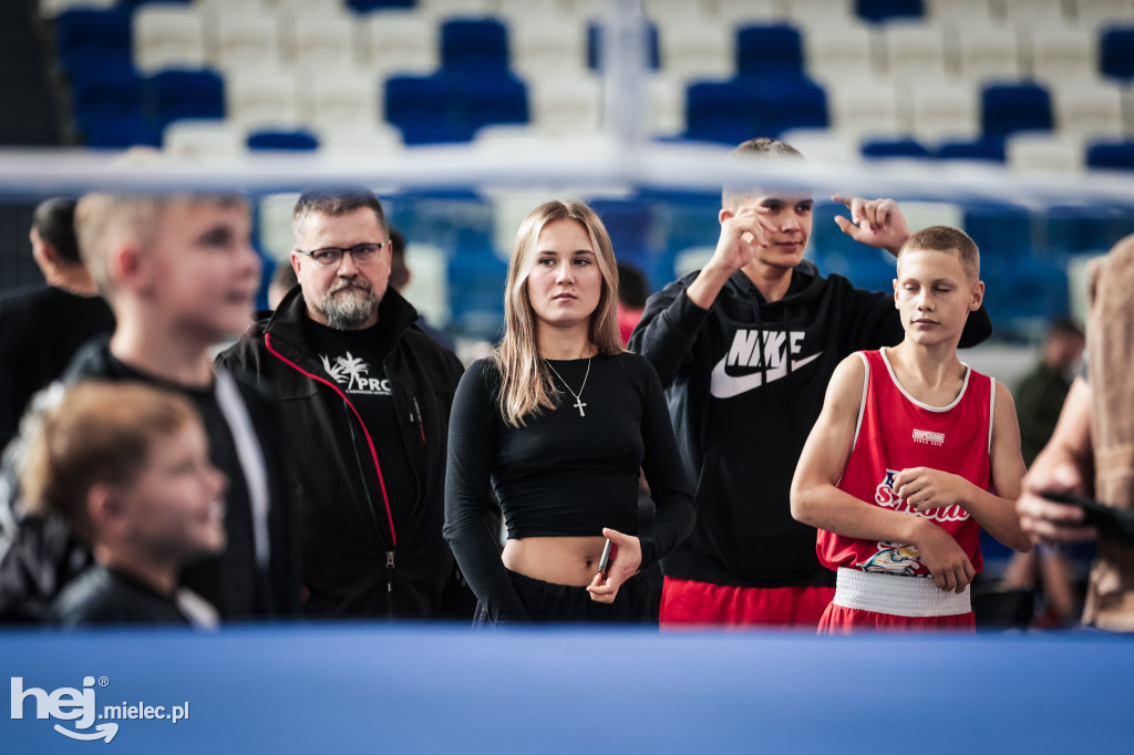 Międzynarodowy Turniej Bokserski imienia Jerzego Hadego