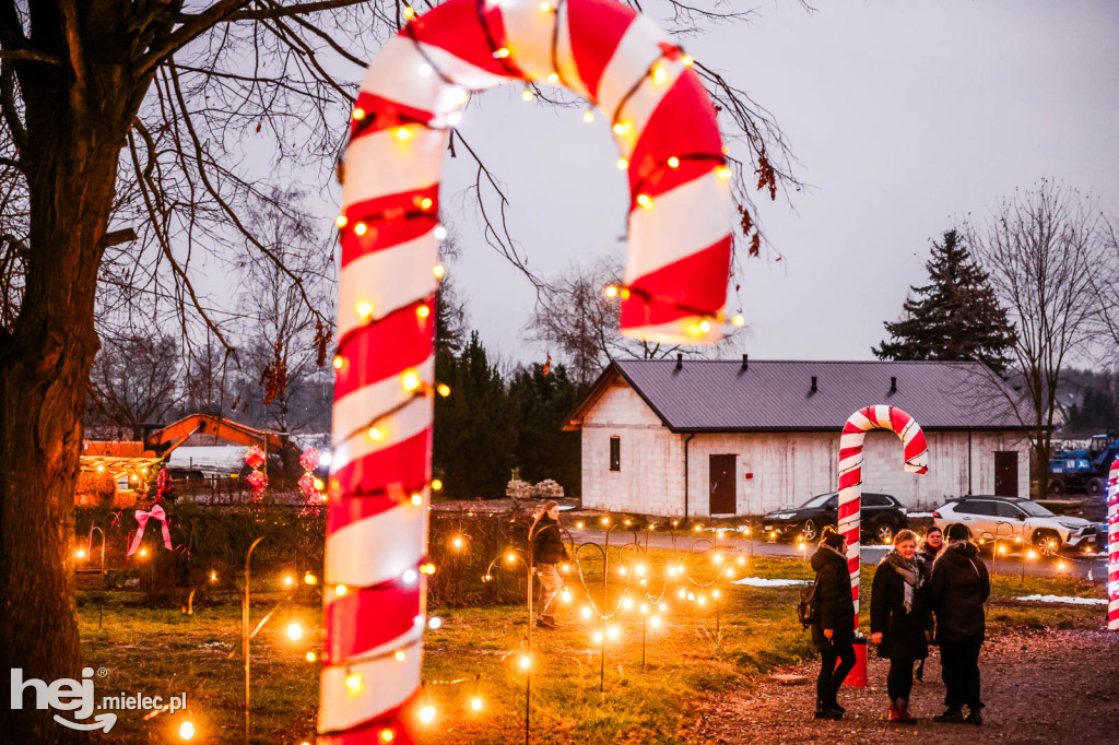 Świąteczna Przystań w Ośrodku JAWJA Rzemień