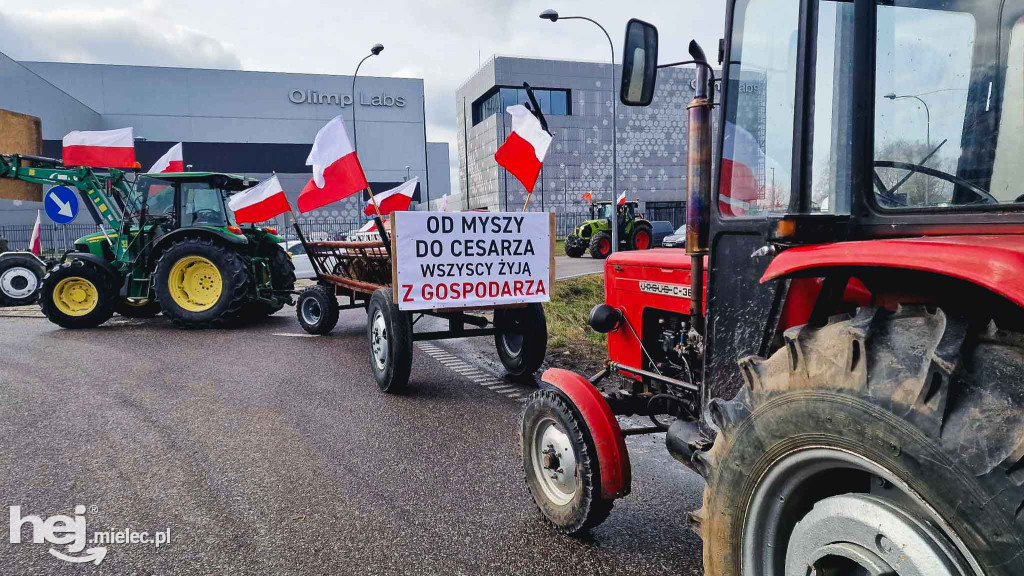 Protest rolników
