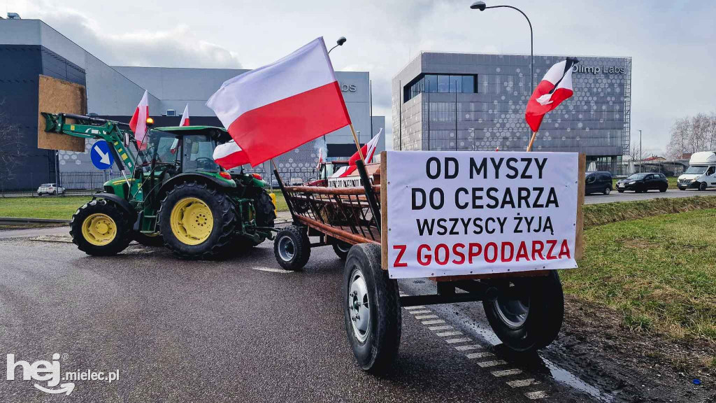 Protest rolników