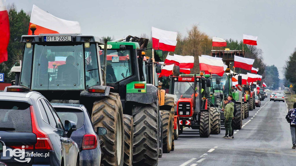 Protest rolników