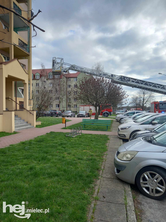 Alarm pożarowy na Warneńczyka