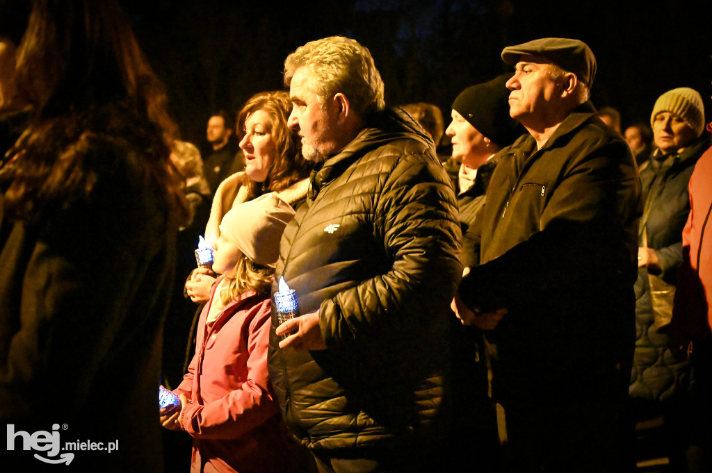 Wierni ze Smoczki na drodze krzyżowej