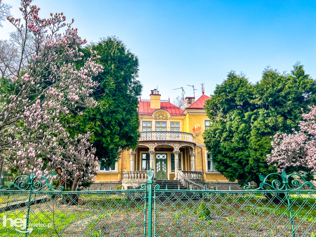 Piękna willa i okazałe magnolie