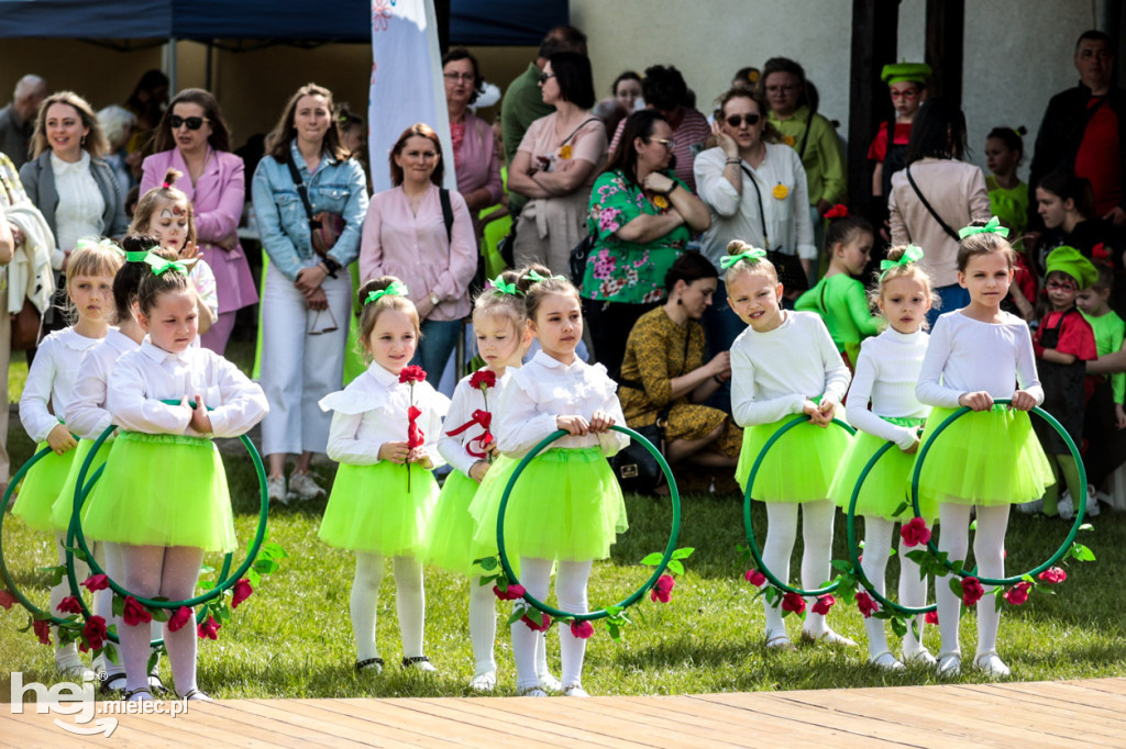 III Dzień Dobra w Trześni
