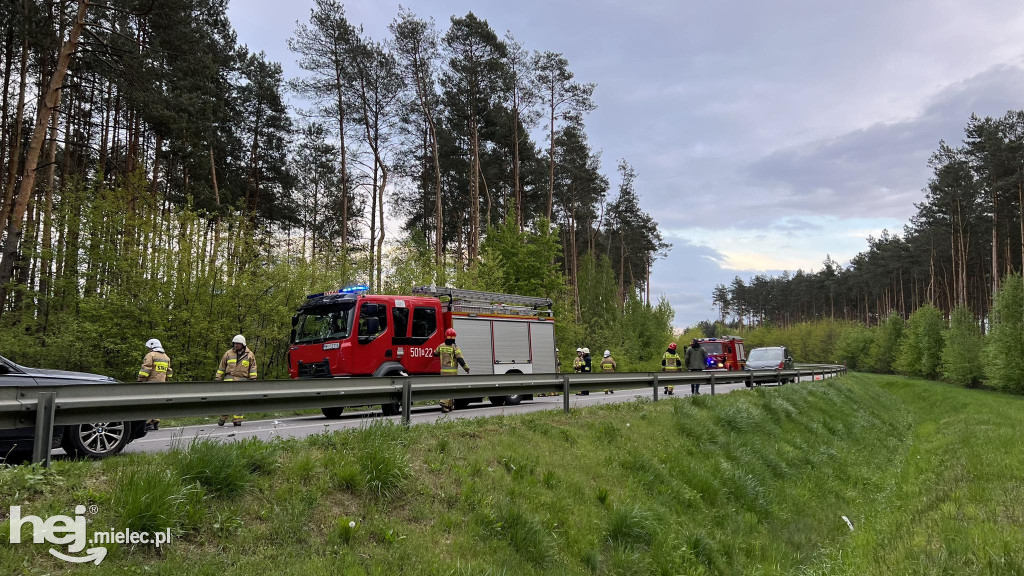 Tragiczny wypadek na obwodnicy Mielca