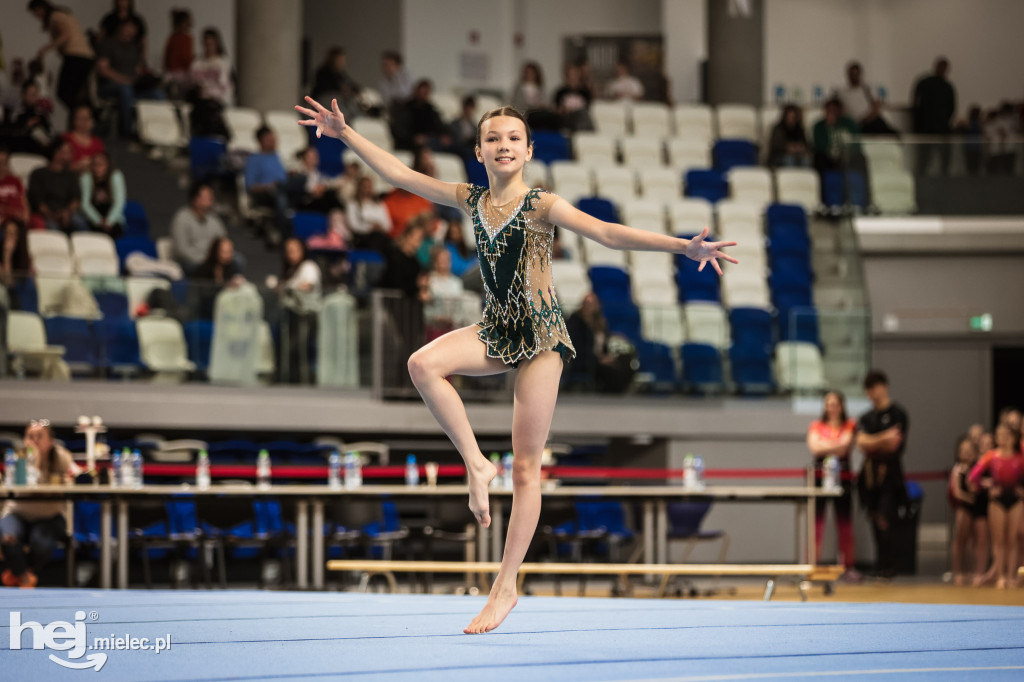 I Wojewódzki Turniej Akrobatyki Sportowej