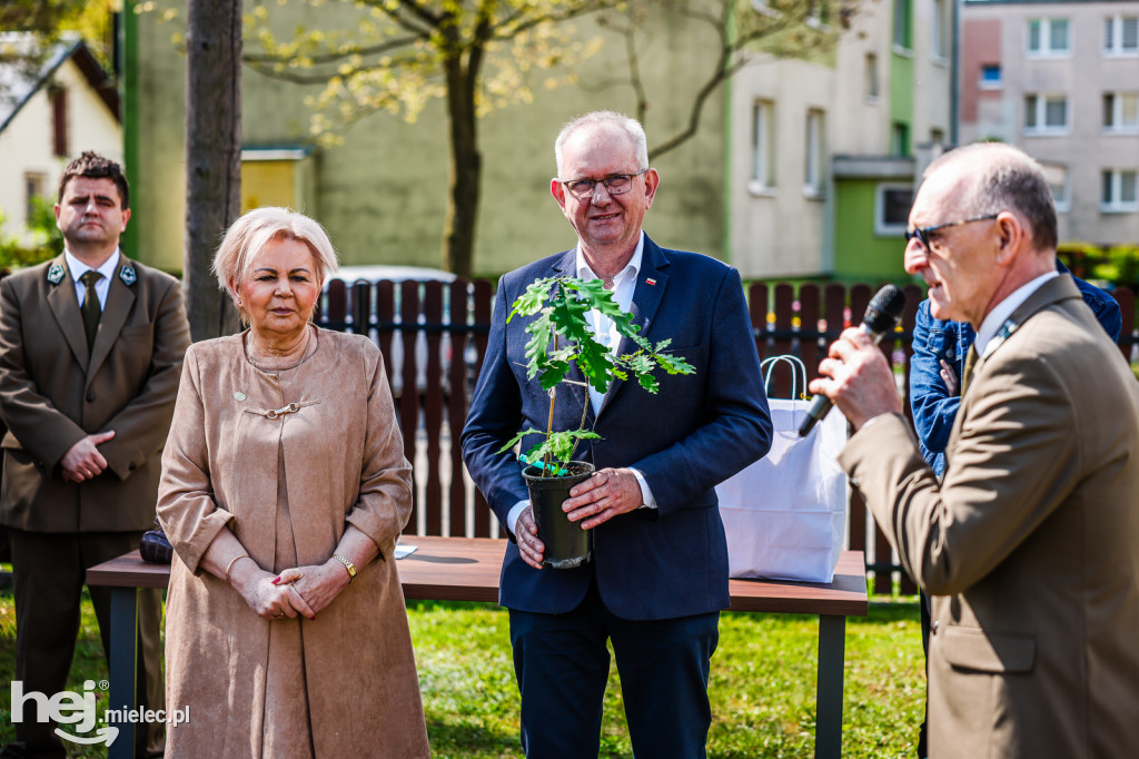 Genetyczna kopia 800-letniego dębu i kapsuła czasu. Na stulecie Lasów Państwowych
