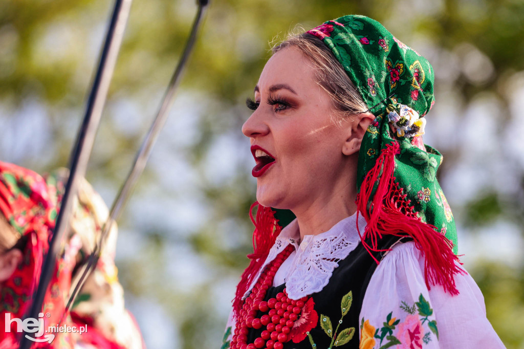 Rzeszowiacy na Górce Cyranowskiej