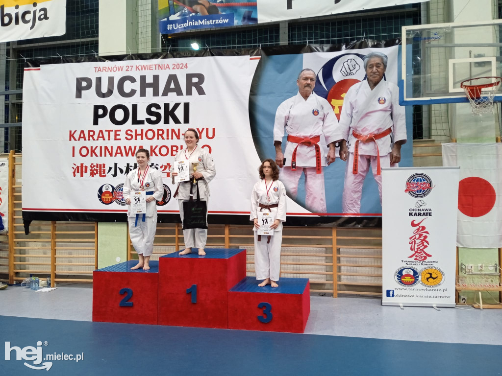 Puchar Polski Shorin Ryu Karate i Kobudo w Tarnowie