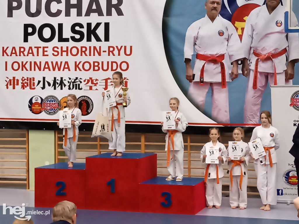 Puchar Polski Shorin Ryu Karate i Kobudo w Tarnowie