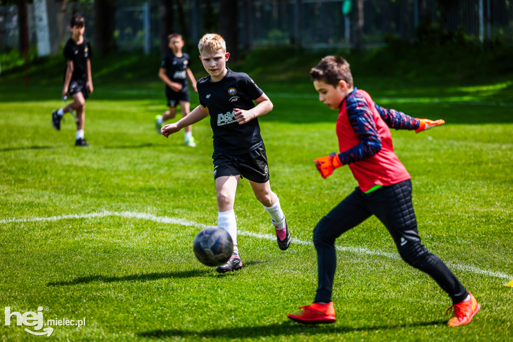 Akademie Klasy Ekstra