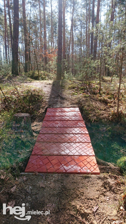Otwarcie nowych ścieżek MTB pod Mielcem