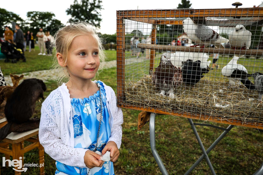 XIX Festyn Parafialny na Osiedlu Rzochów