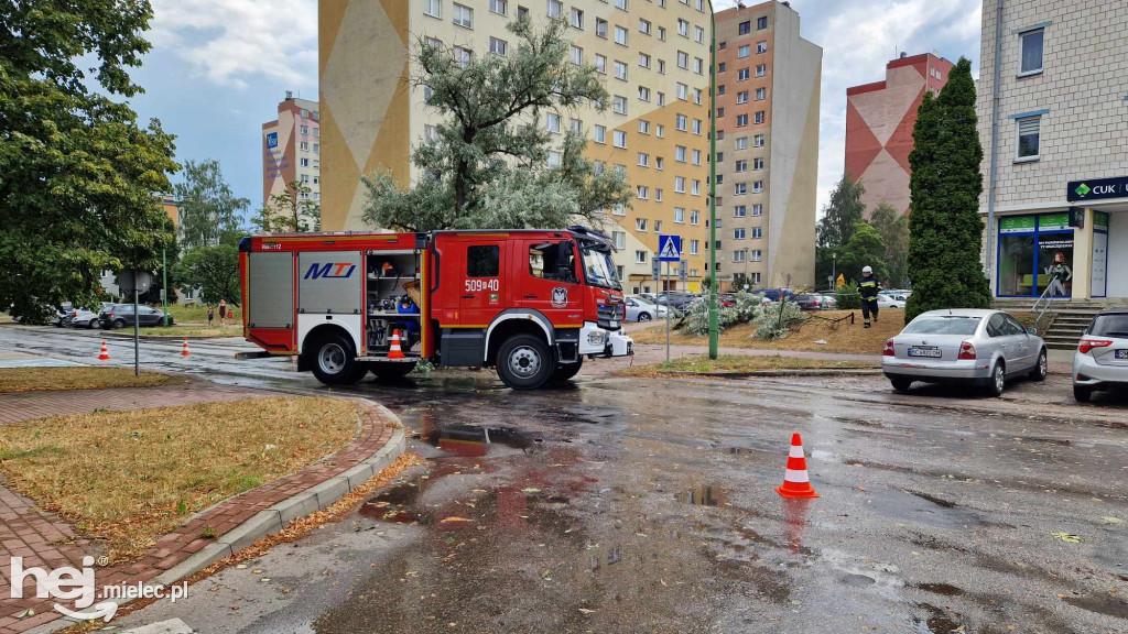 Nawałnica nad Mielcem. Sporo zniszczeń!