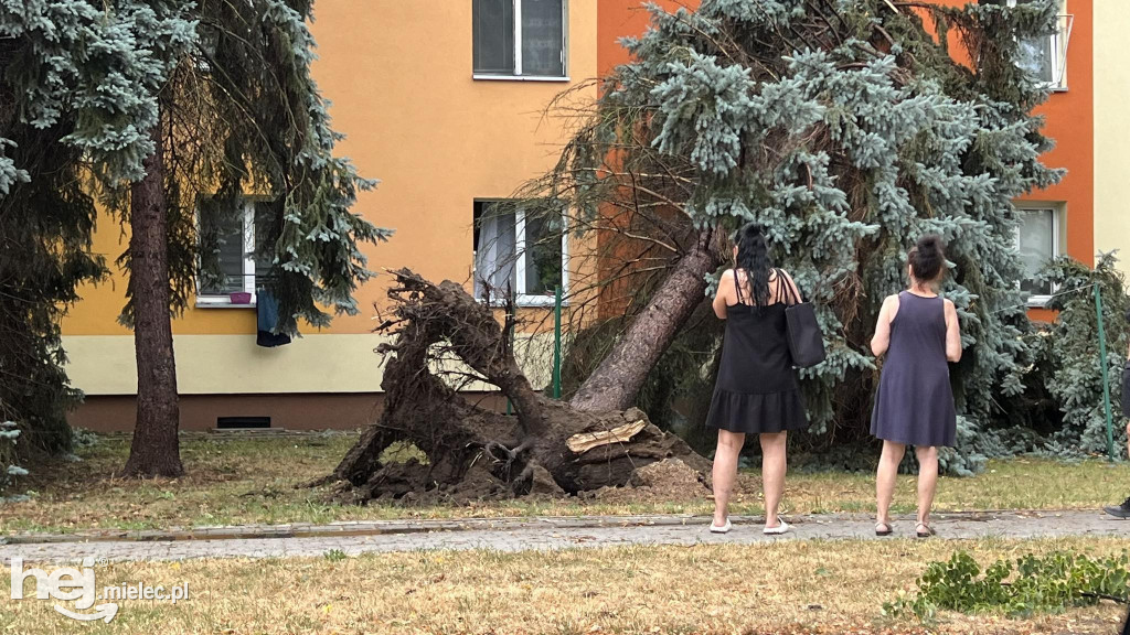 Nawałnica nad Mielcem. Sporo zniszczeń!