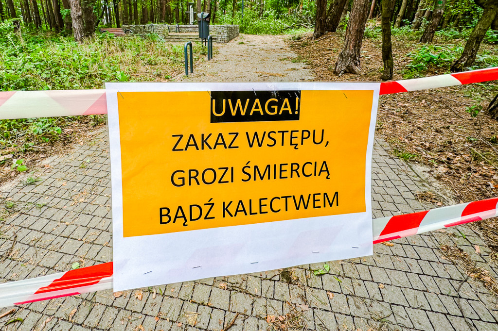 Park Leśny w Mielcu po zjawisku downburst