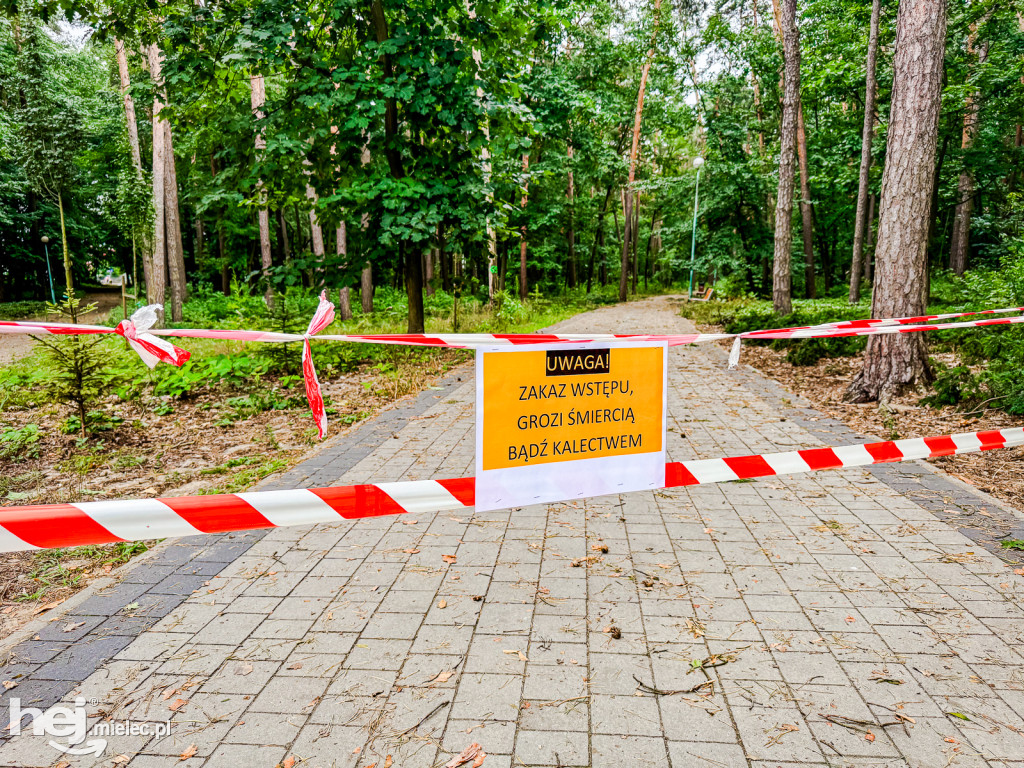 Park Leśny w Mielcu po zjawisku downburst