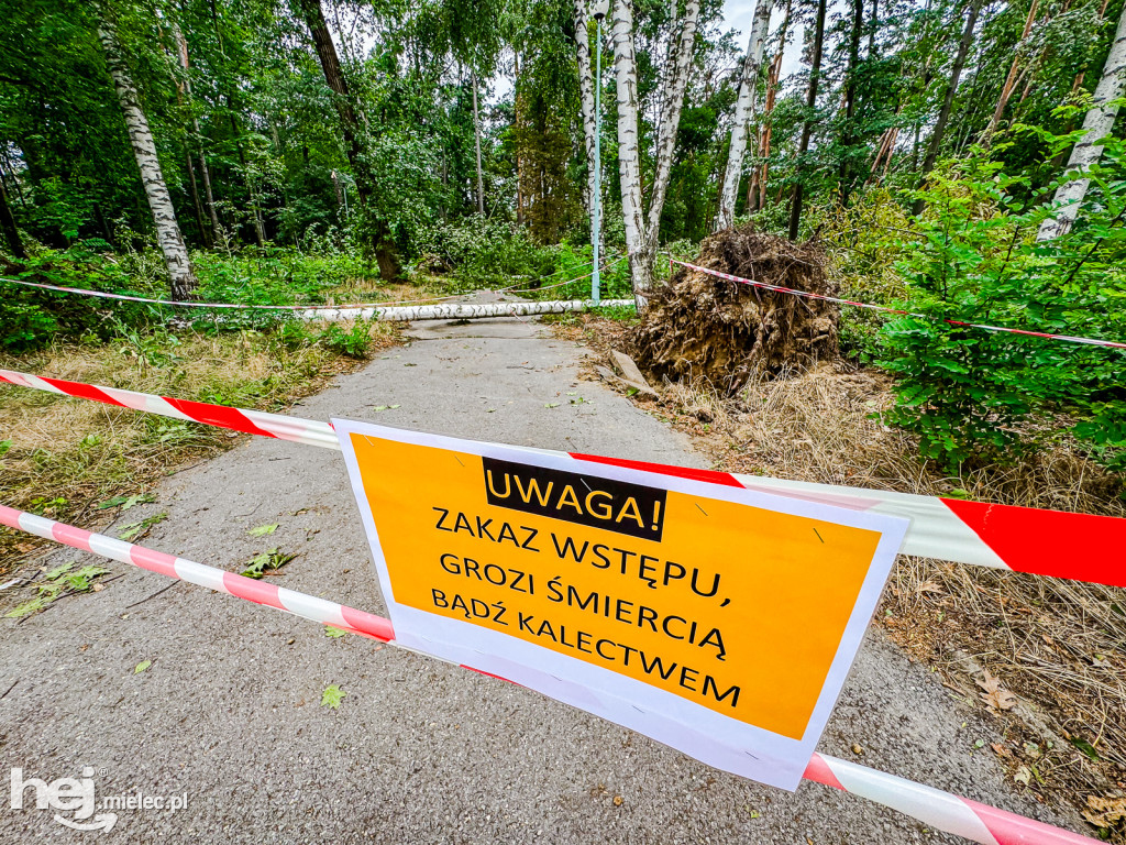 Park Leśny w Mielcu po zjawisku downburst