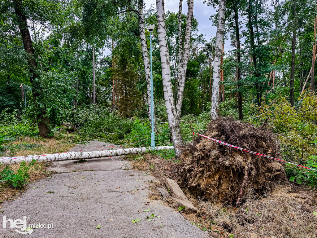 Park Leśny w Mielcu po zjawisku downburst