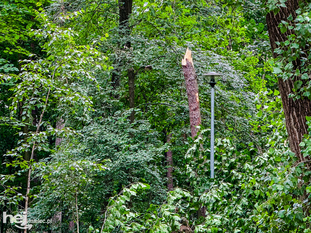 Park Leśny w Mielcu po zjawisku downburst