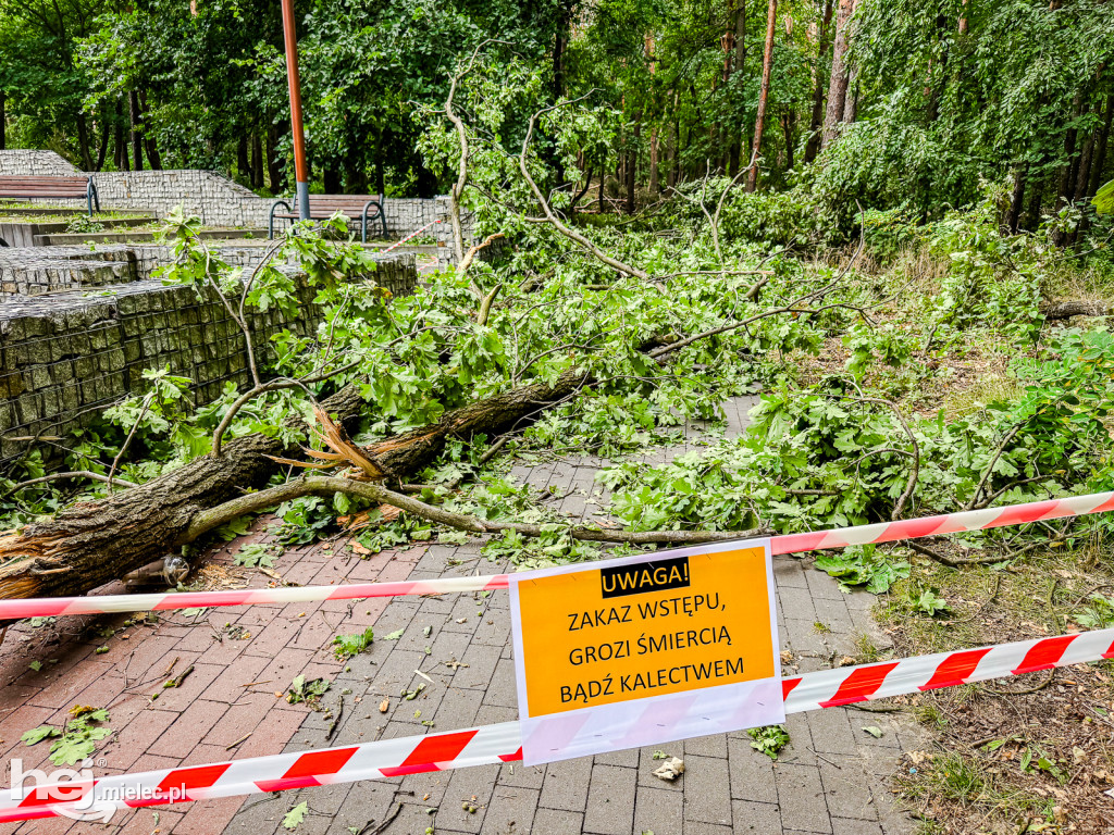 Park Leśny w Mielcu po zjawisku downburst