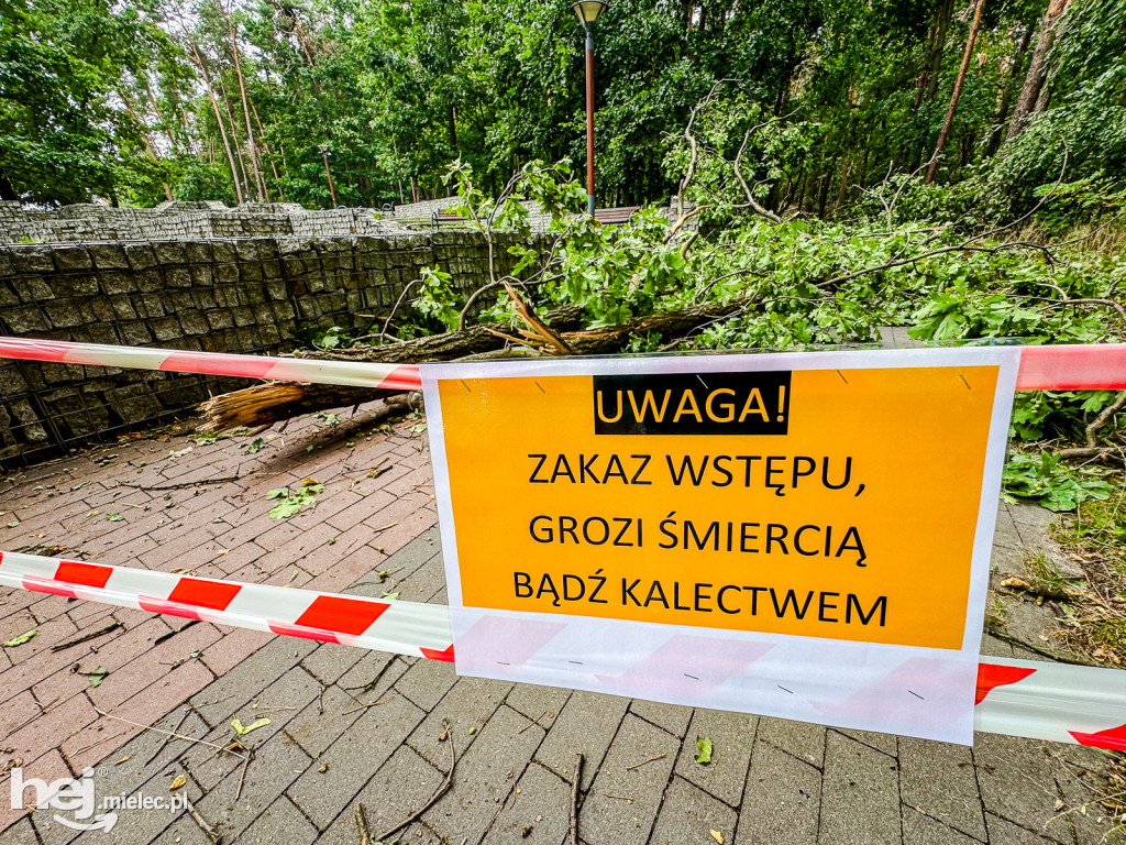 Park Leśny w Mielcu po zjawisku downburst