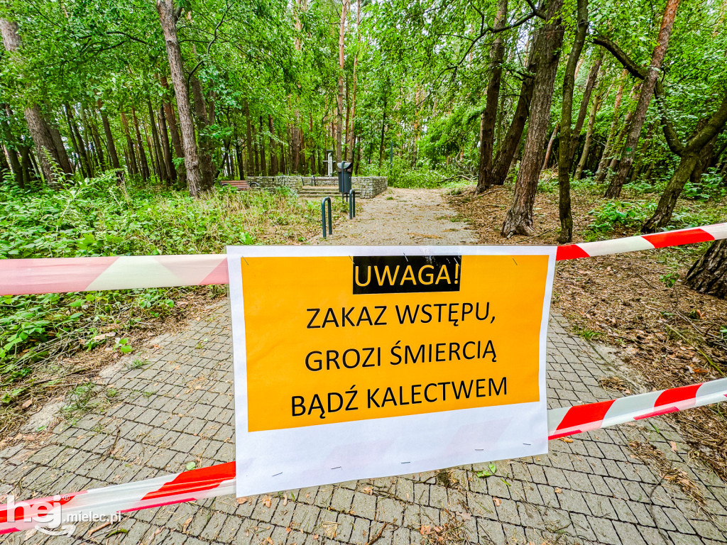 Park Leśny w Mielcu po zjawisku downburst