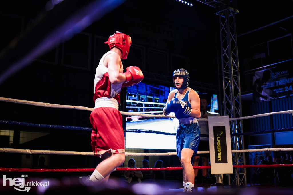 I Mielecka Gala Boksu Olimpijskiego
