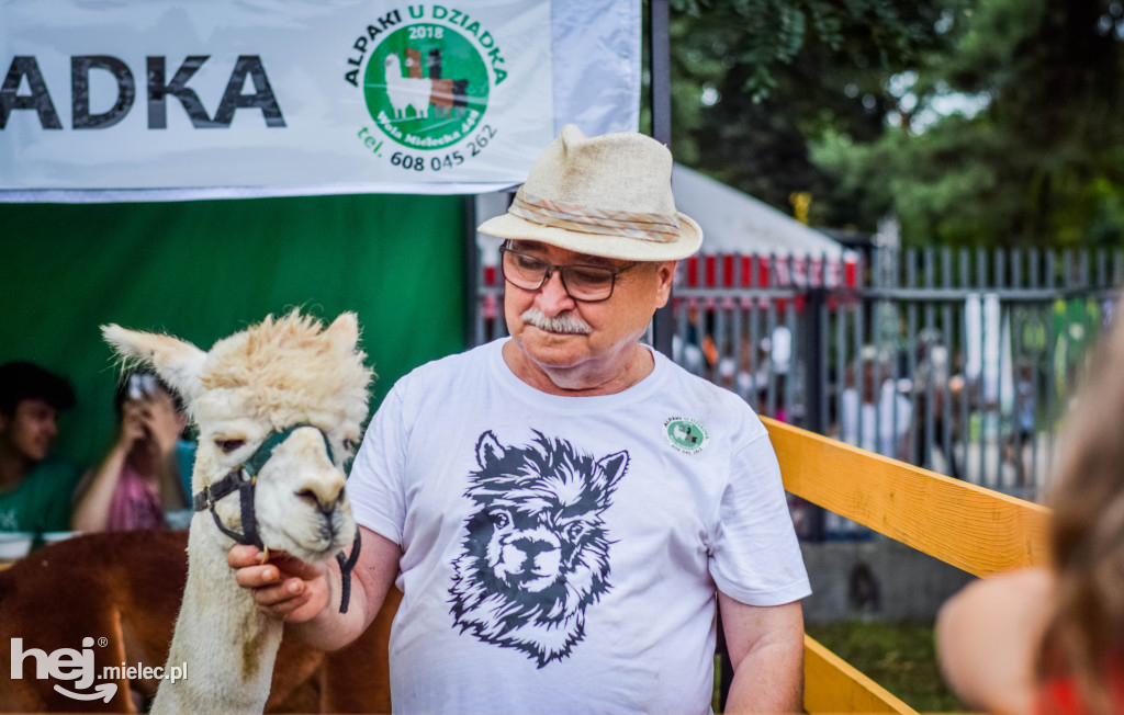 III Jaślański Piknik Rodzinny