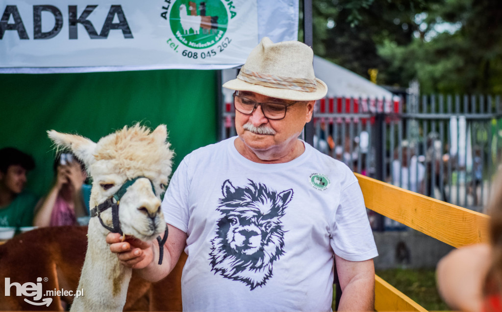 III Jaślański Piknik Rodzinny