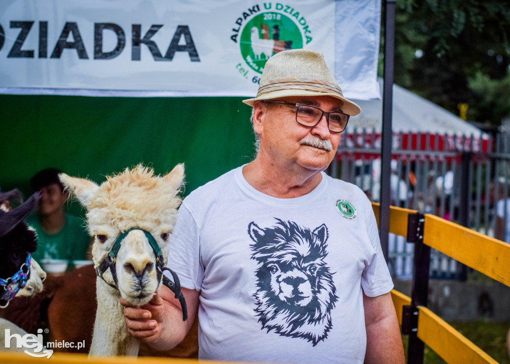 III Jaślański Piknik Rodzinny