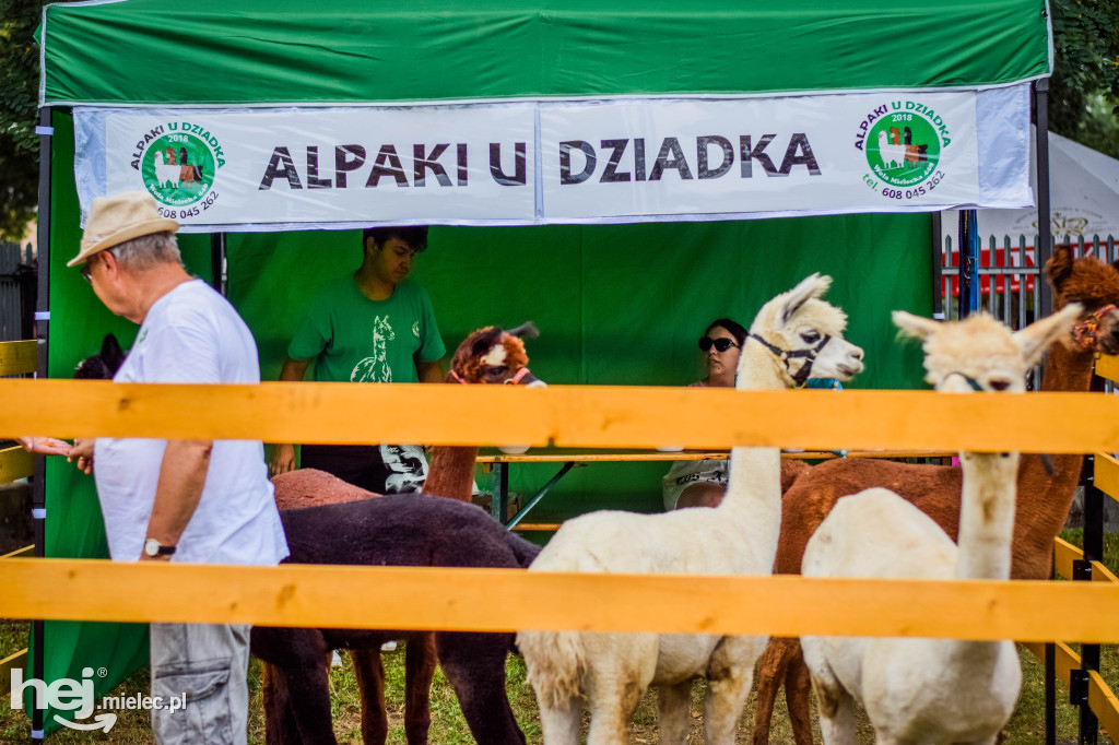 III Jaślański Piknik Rodzinny